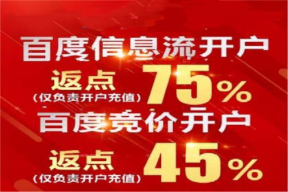 实战案例：SEM广告投放的优化策略